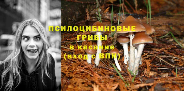 гашик Остров