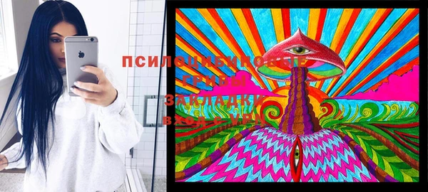 мяу мяу кристалл Няндома