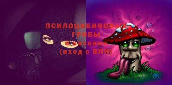 гашик Остров