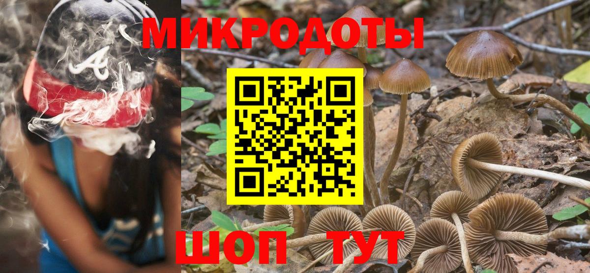 Переславль-Залесский  где найти   Вход с VPN  Псилоцибиновые грибы прущие грибы 