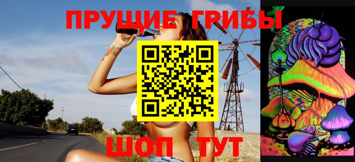 Галлюциногенные грибы мицелий  Переславль-Залесский  Псилоцибиновые грибы Cubensis 
